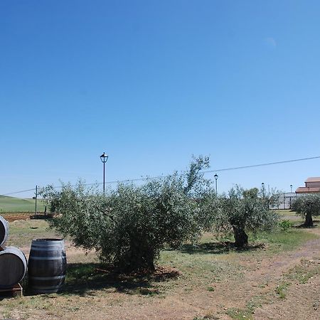 Casa Rural Teso De La Encina Villamor de los Escuderos Luaran gambar