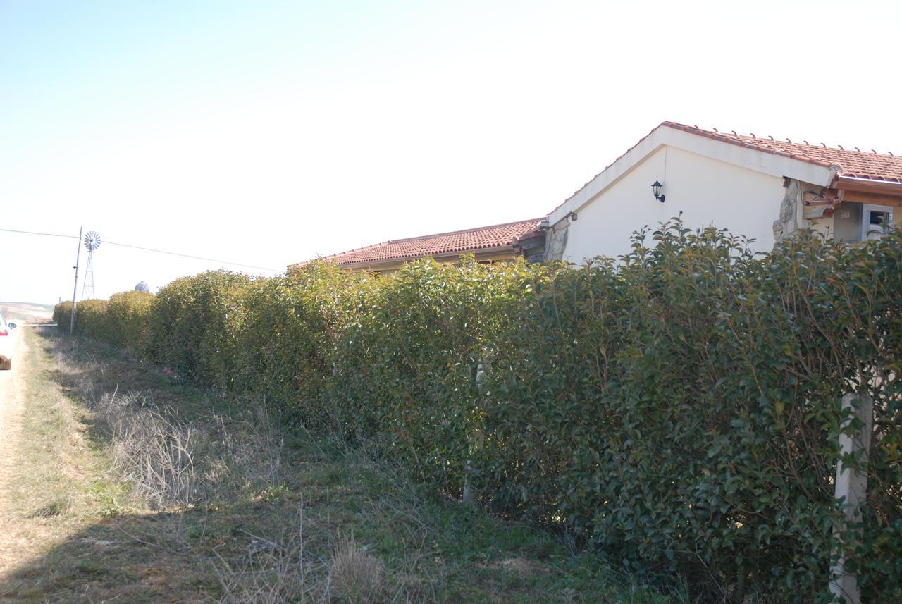 Casa Rural Teso De La Encina Villamor de los Escuderos Luaran gambar