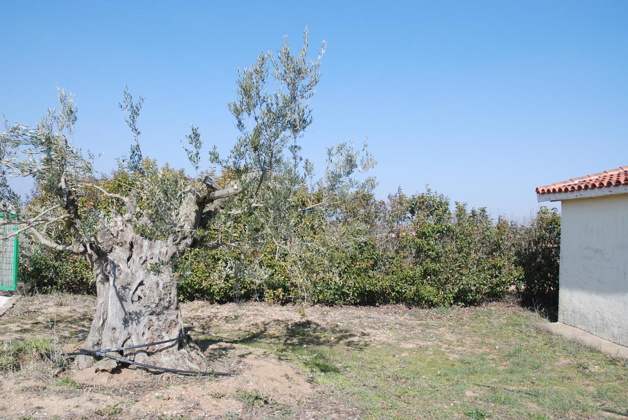 Casa Rural Teso De La Encina Villamor de los Escuderos Luaran gambar