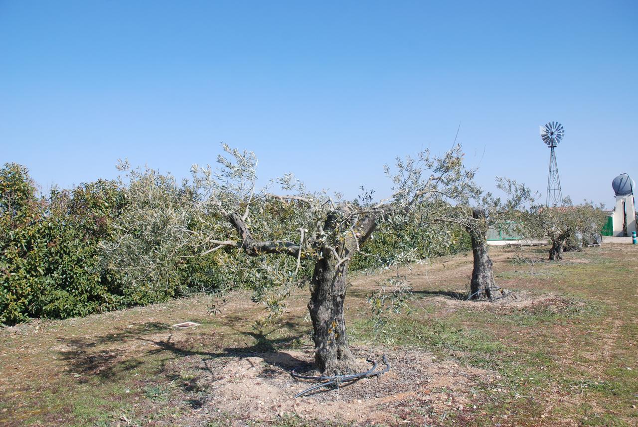 Casa Rural Teso De La Encina Villamor de los Escuderos Luaran gambar
