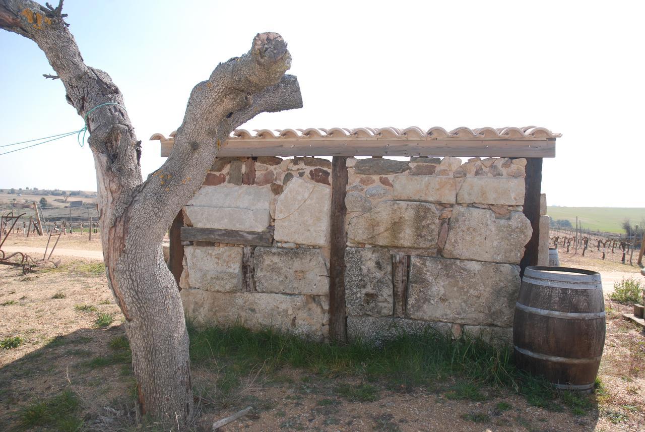 Casa Rural Teso De La Encina Villamor de los Escuderos Luaran gambar