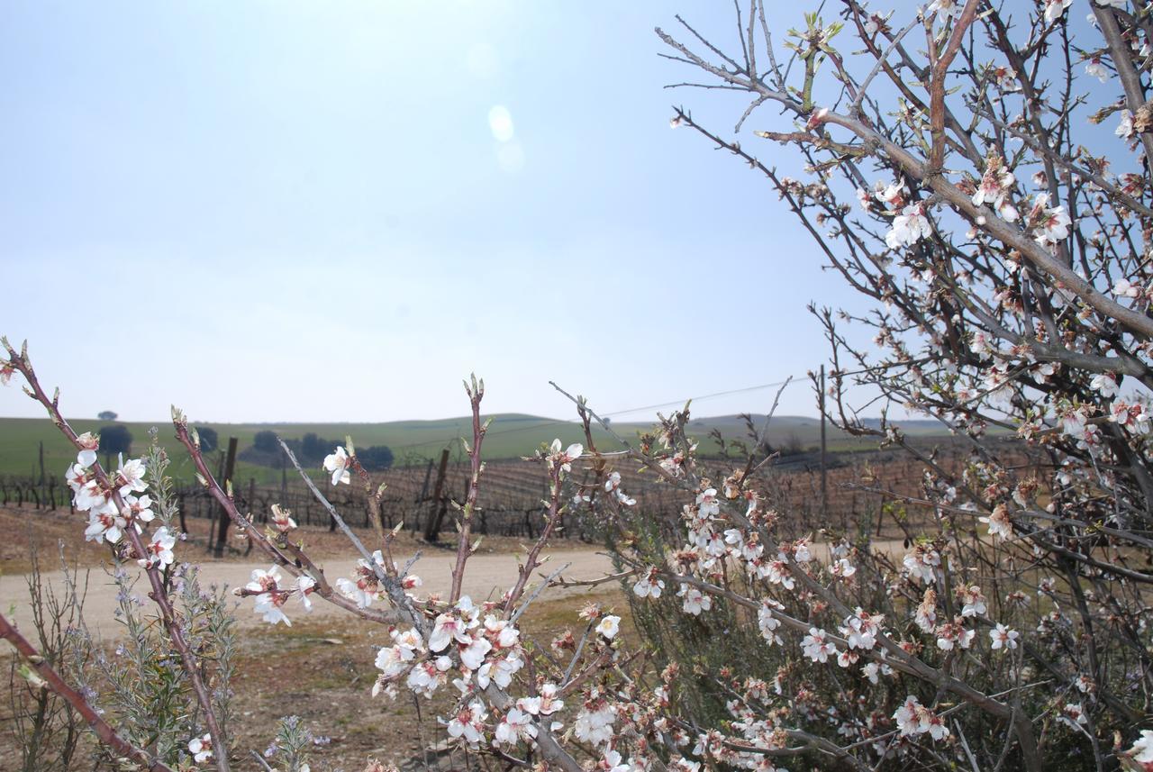Casa Rural Teso De La Encina Villamor de los Escuderos Luaran gambar